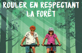 VTT dans les forêts de Pully – bonnes pratiques