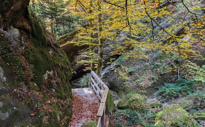 Réouverture du chemin pédestre de la Chandelar