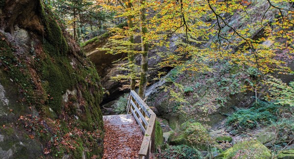 Réouverture du chemin pédestre de la Chandelar